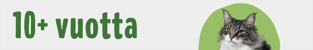 Yli 10 vuotta