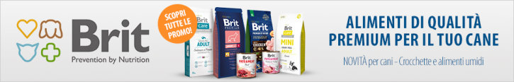 Brit Top brands