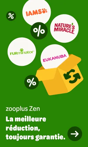 15% de remise