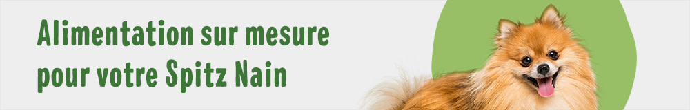 Alimentation sur mesure pour votre Spitz Nain