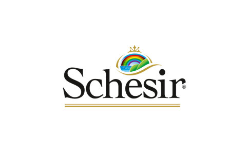 Schesir