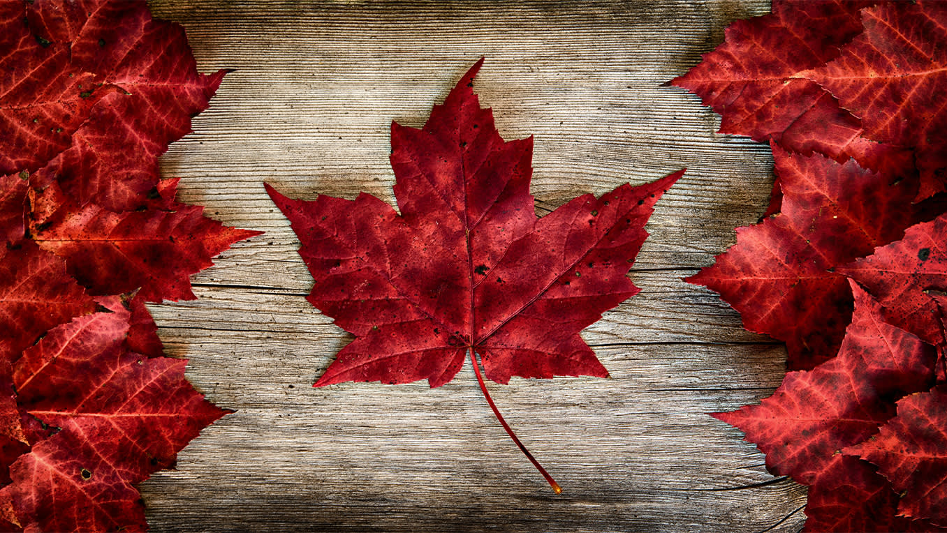 The Great Write North: The Best in CanCon from 2019
