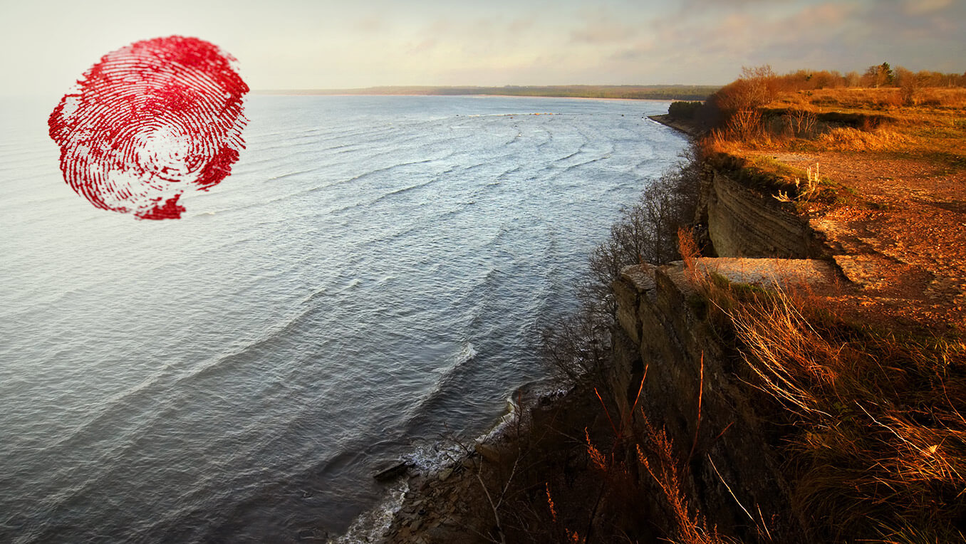 Nordseekrimis Nordseekrimis