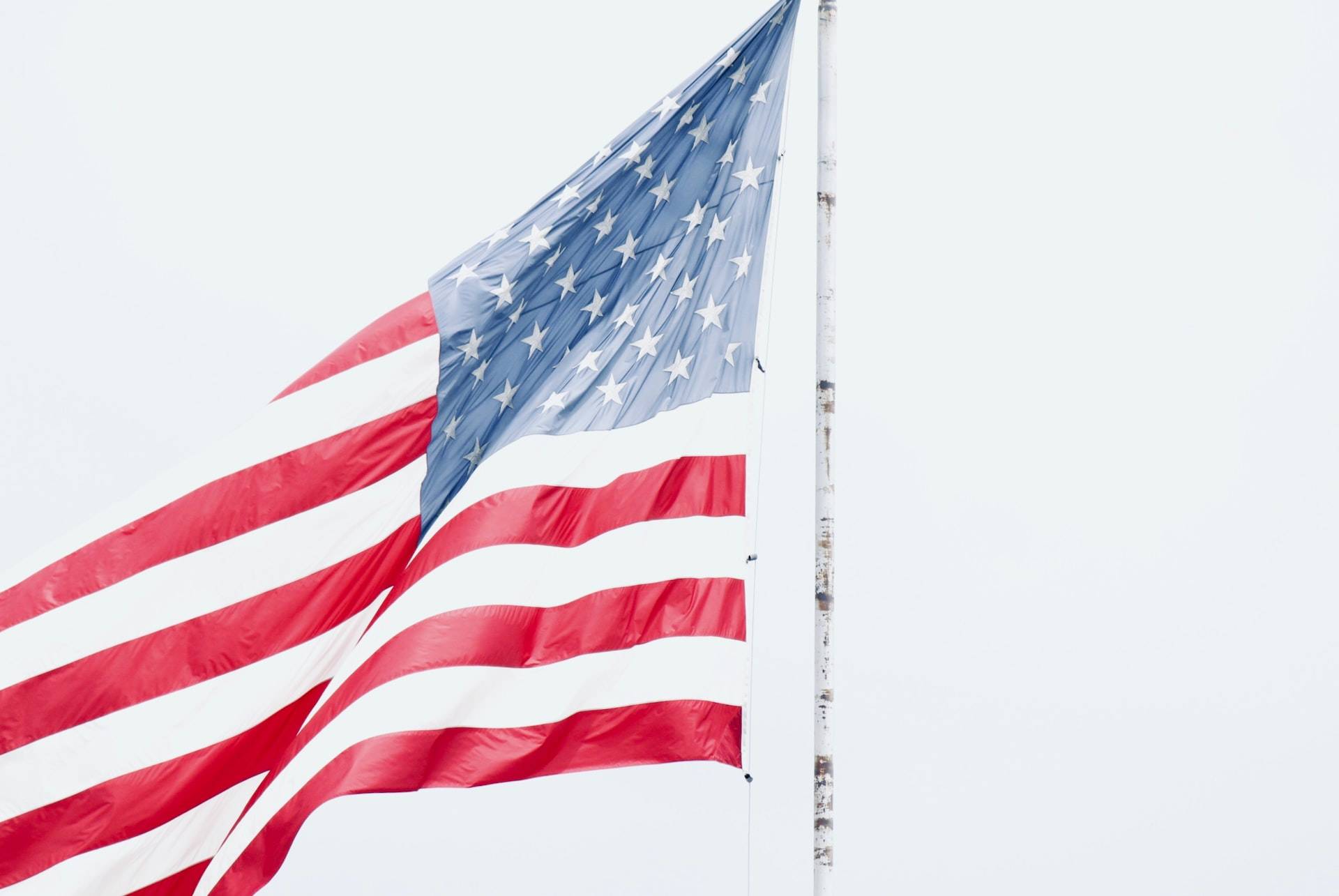 Scrittori americani da non perdere