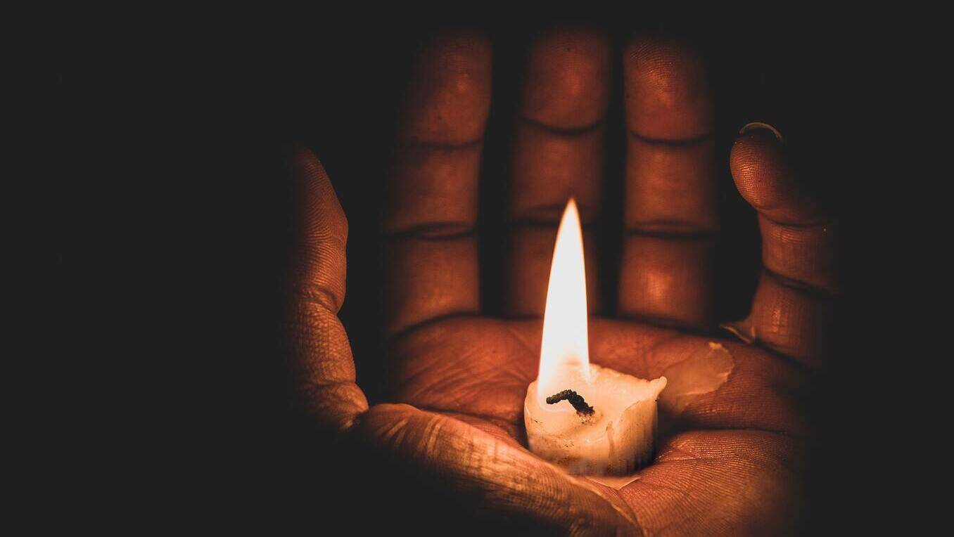 Ähnliche Bücher wie “Blackout”