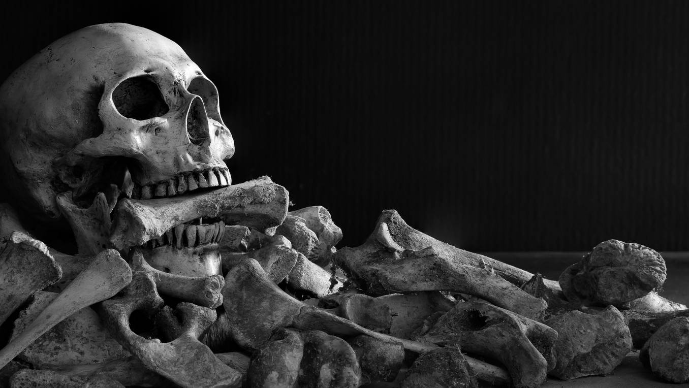 Bücher von Kathy Reichs in der richtigen Reihenfolge