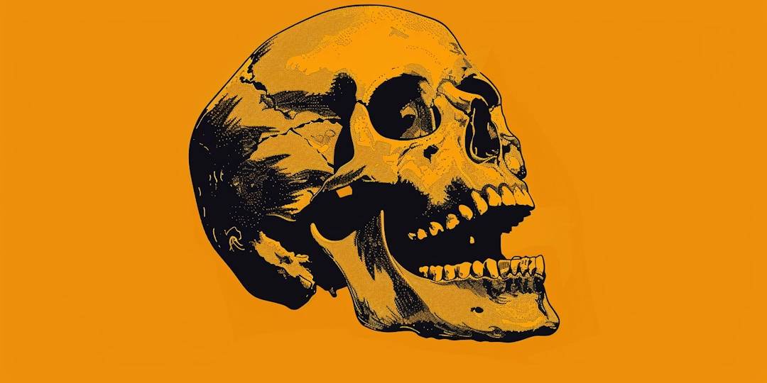 Les 10 meilleurs livres d’humour noir