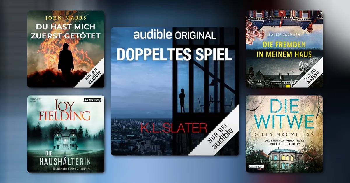 Domestic Thriller: Verbrechen im häuslichen Schein-Idyll