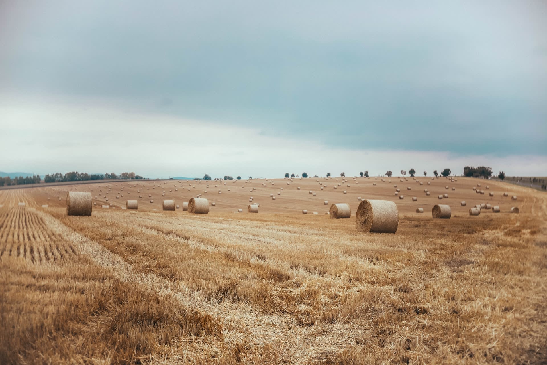 Audiolibri ambientati in campagna