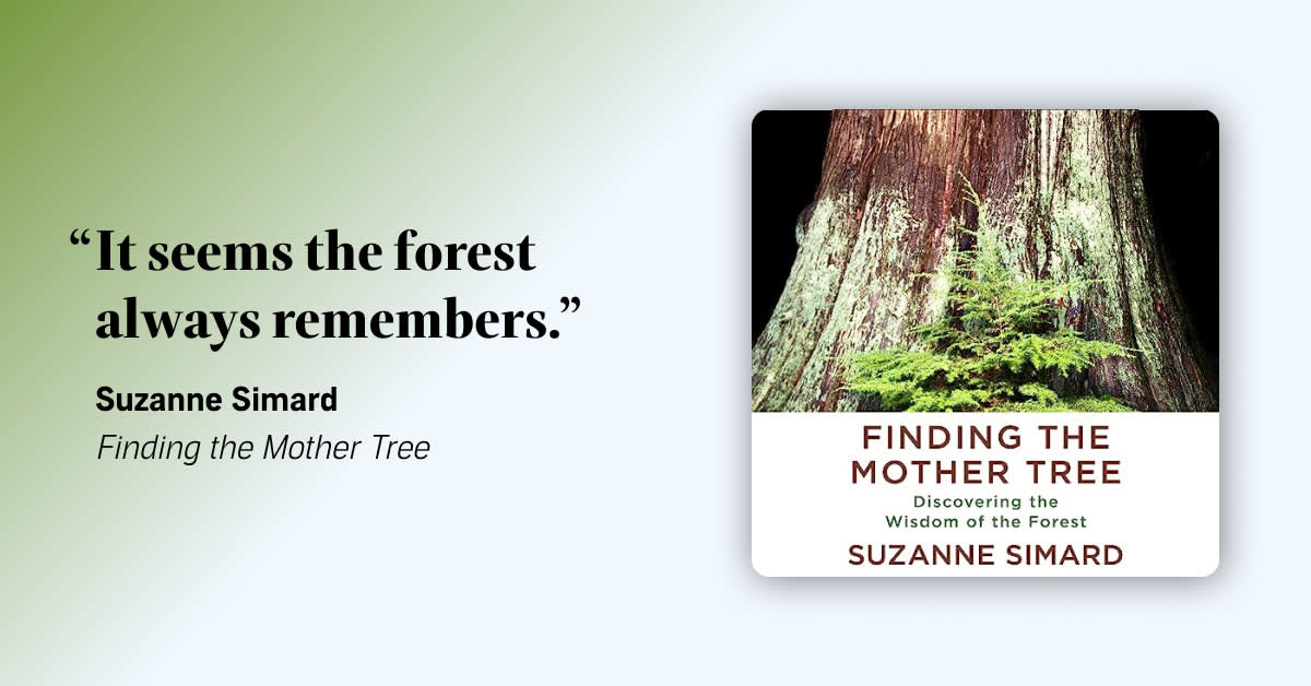 Nature quote 1