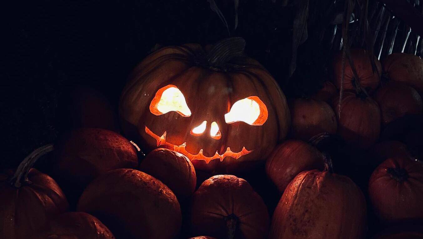 Libri da brivido per festeggiare Halloween