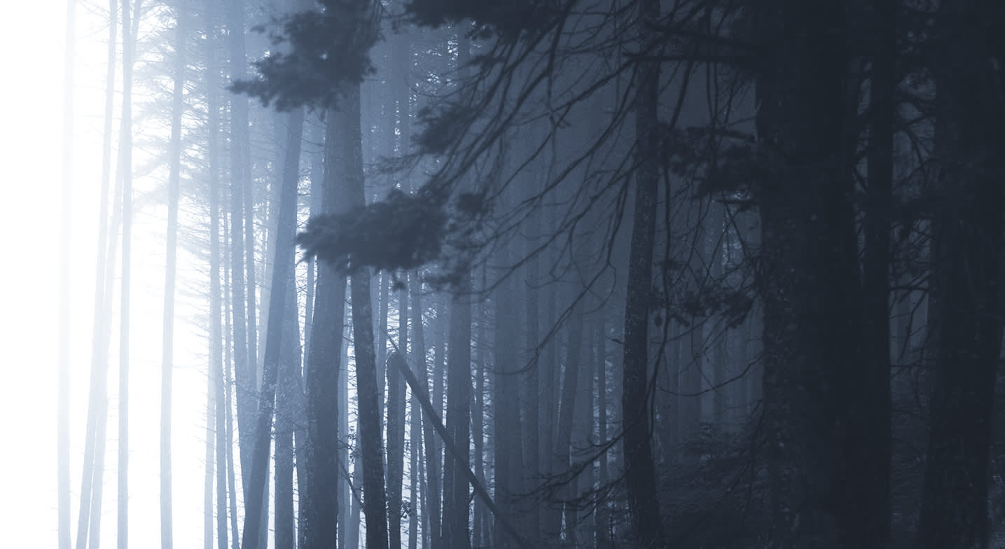You Hear The Strangest Things: The Eerie Stories Of Robert Aickman