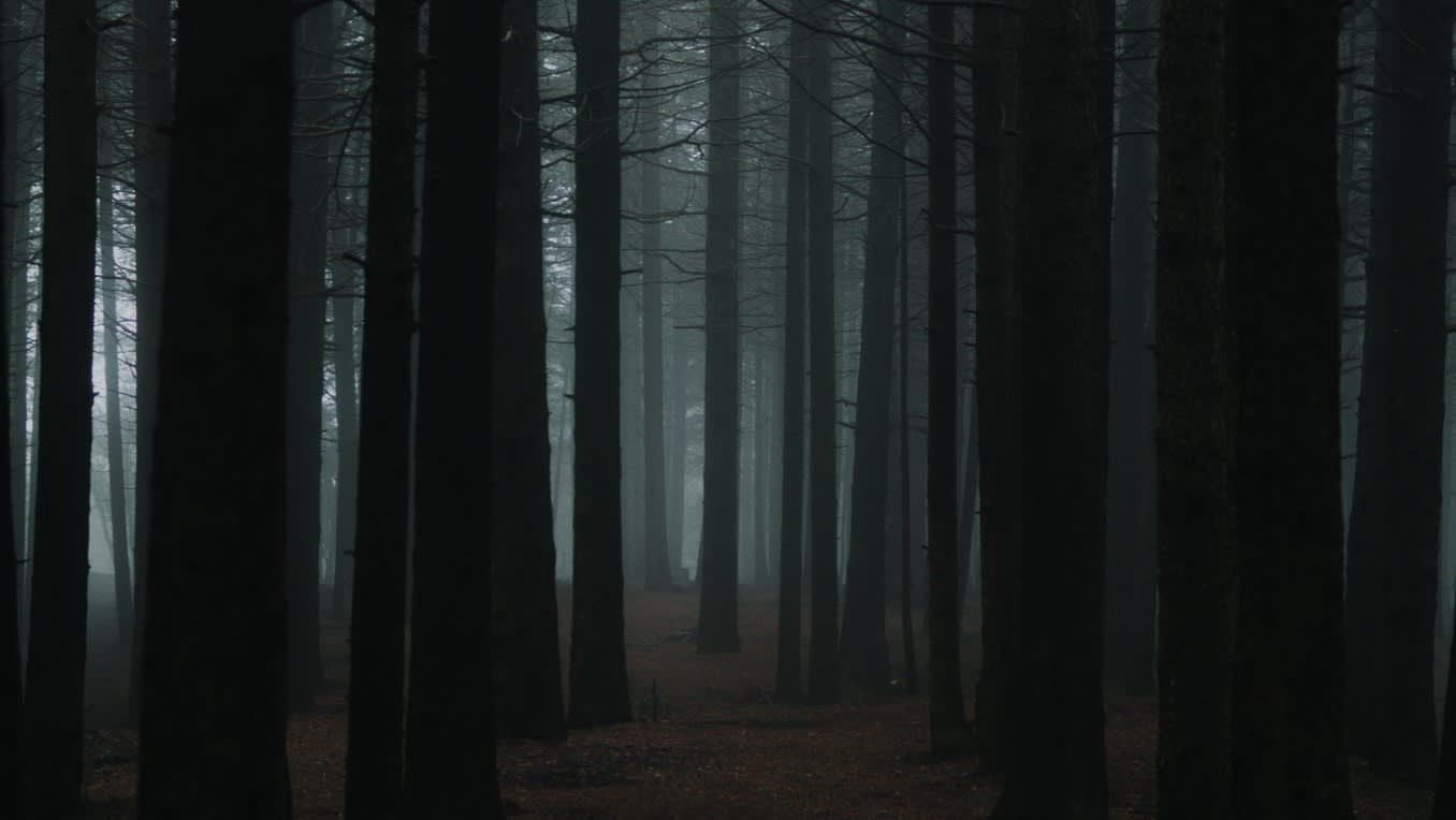 Alle Karin-Slaughter-Bücher in der richtigen Reihenfolge
