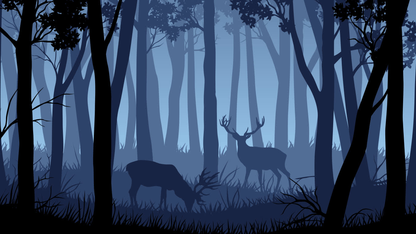Kommt mit in den Wald