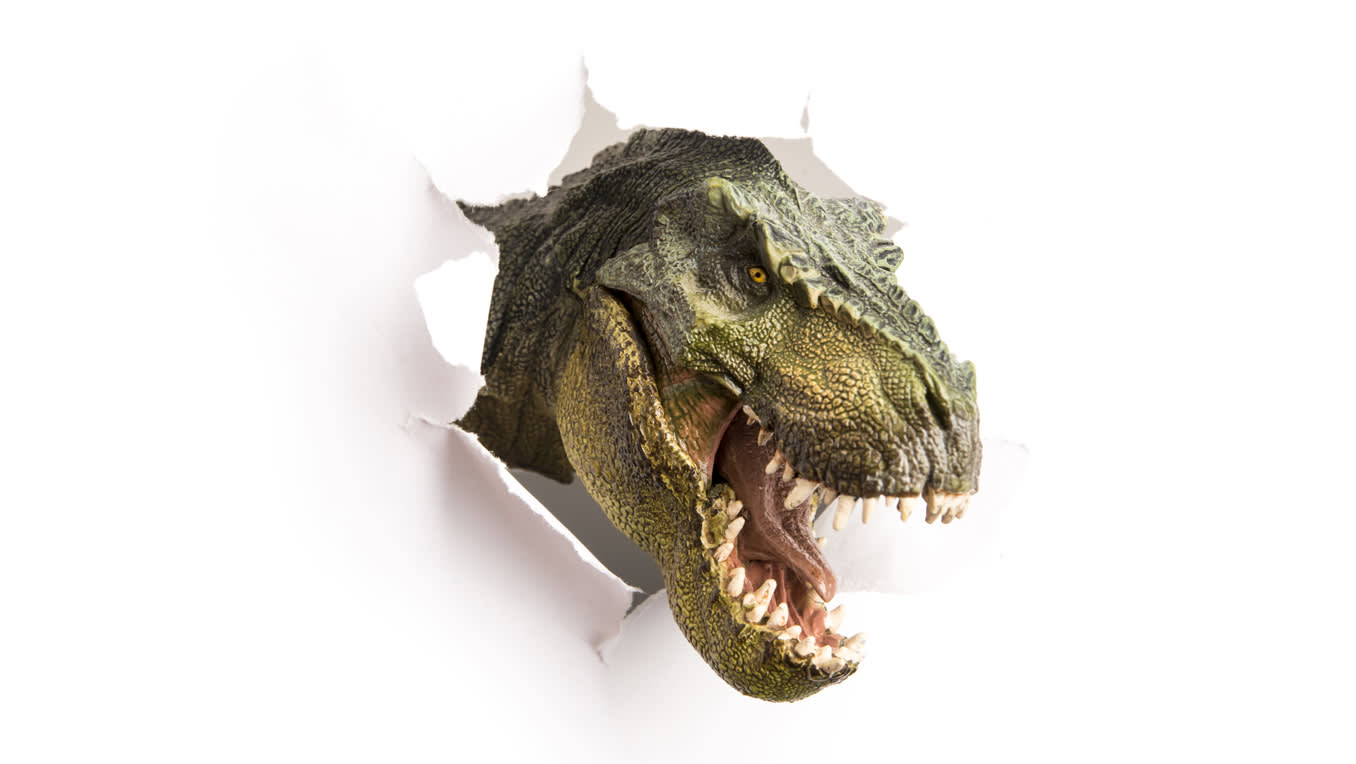 Dinosaurier - Rockstars unter den Fossilien