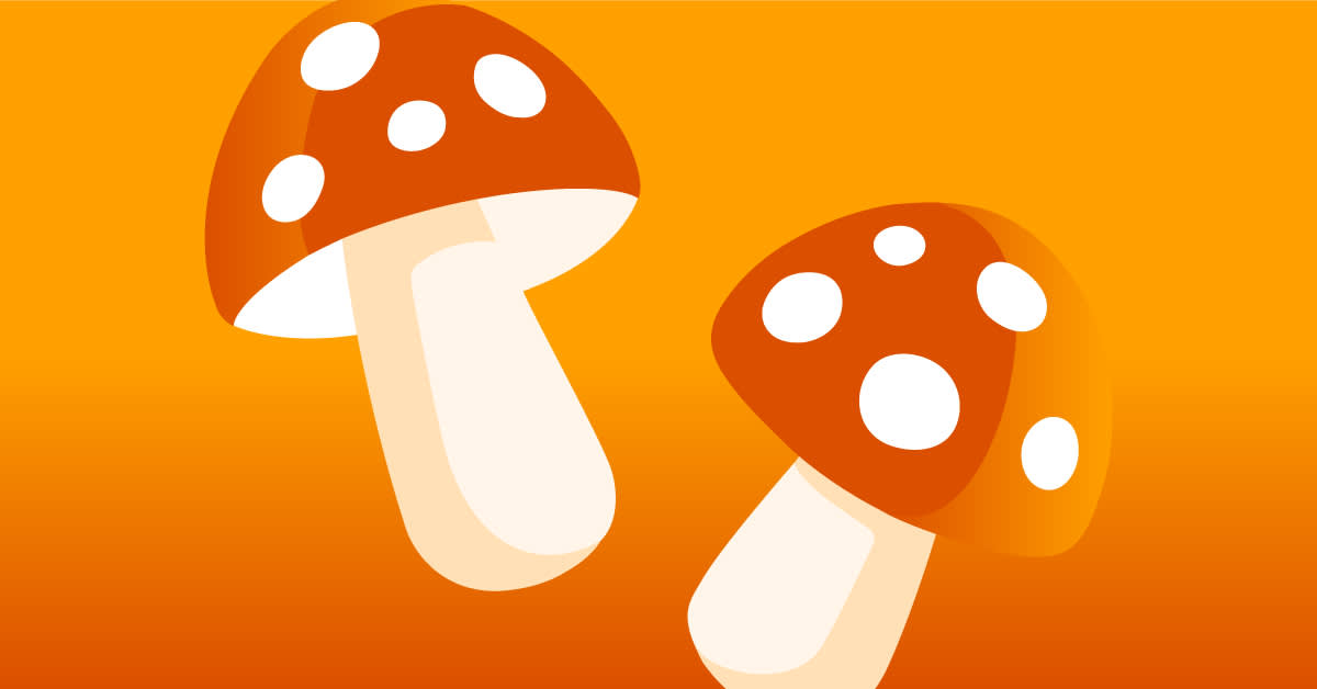 Mushroom mania: 10 fantastic listens about fungi