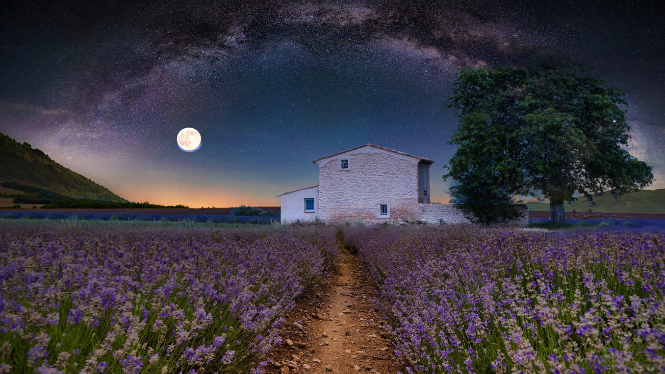 Provence-Krimis: Frankreich – zum Sterben schön! 