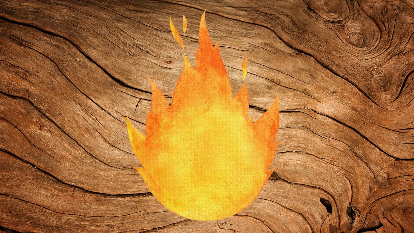 Neue Denkanstöße: Die besten Romane über den Klimawandel