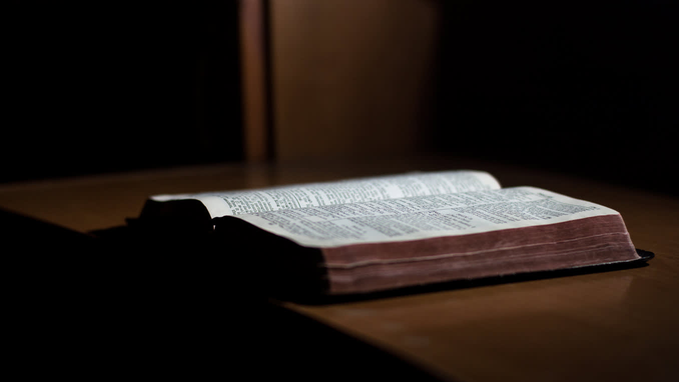 Die Hörbibel. Die Heilige Schrift als gesprochenes Wort