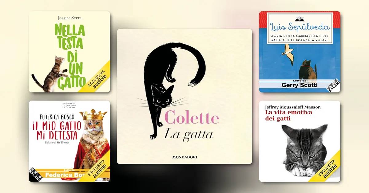 Libri per chi ama i gatti: storie da ascoltare con un micio acciambellato accanto