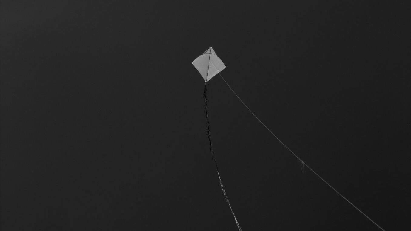 The Kites (Les cerfs-volants) by Romain Gary