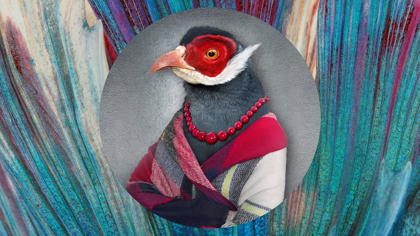 Animal Fantasy: Tierisch menschliche Helden
