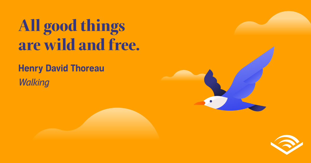 60+ Nature Quotes to Inspire and Motivate You