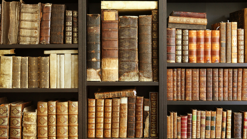 Bibliothèque remplie de vieux livres des grands classiques littéraires