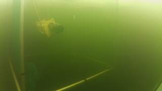 The AUV REMUS deployed under ice