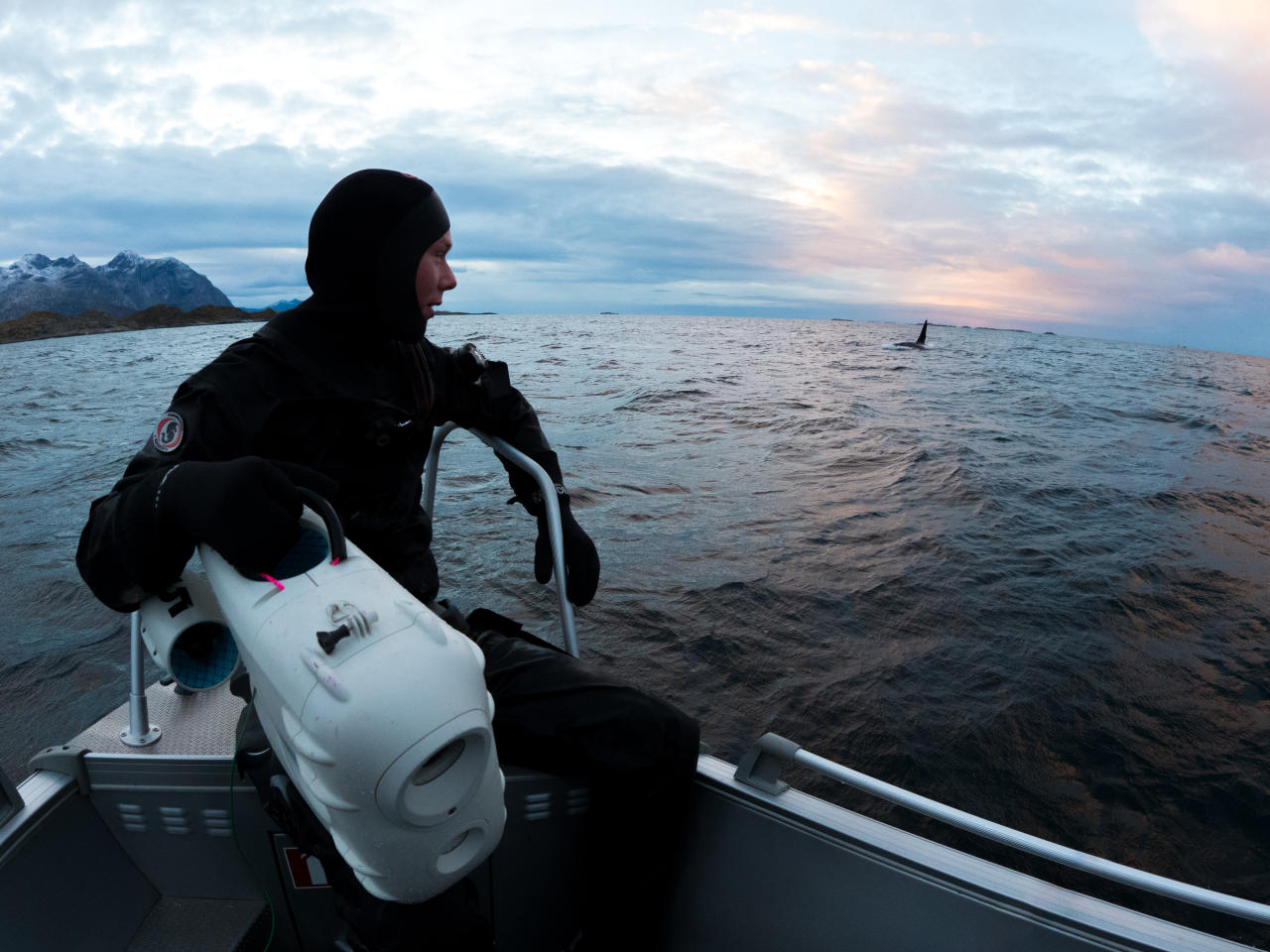 Jonas holding PioneerOne with male orca in background