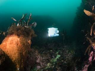 Blueye Pioneer filmer en av kanonene