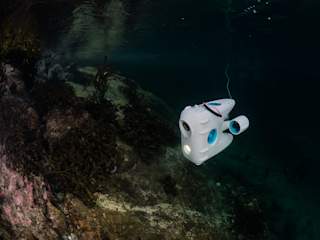 The transparency and clarity of the water was amazing