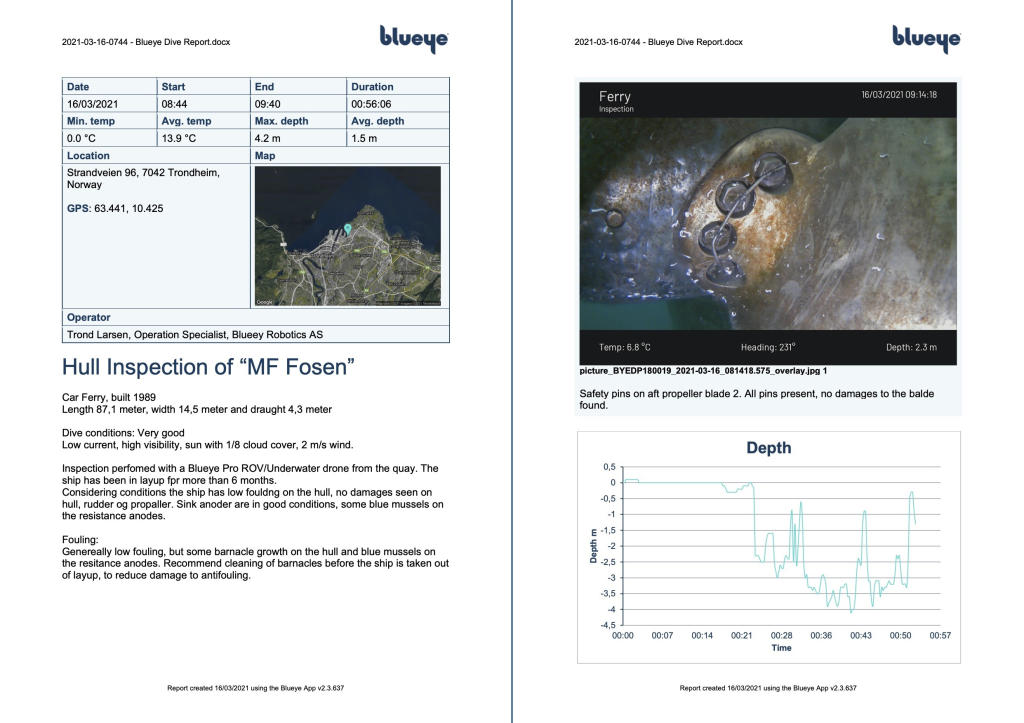 Example report from Blueye App