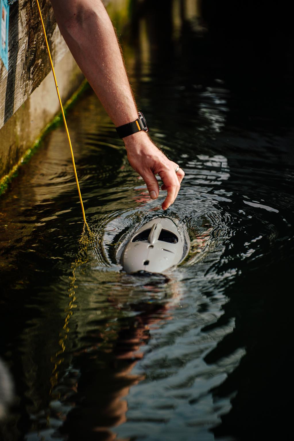 Operator reaching for a surfacing Blueye ROV