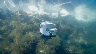 Blueye X3 diving underwater