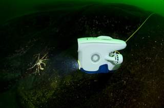 Blueye Pioneer illuminating a deep sea king crab