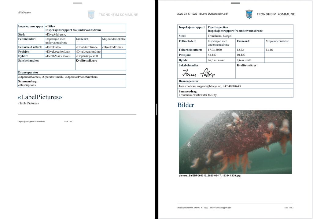 Example of a custom template on the left, and the generated report on the right. This is not a real template or report and only created for testing purposes.