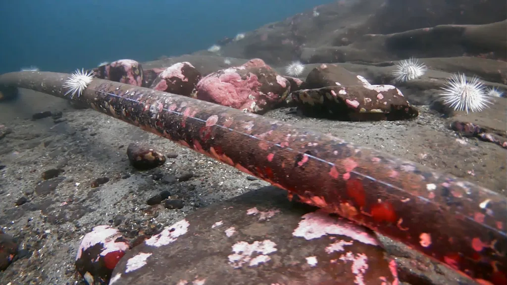 Water pipe picture taken with the Blueye Pioneer underwater drone