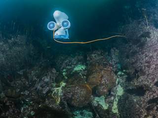 Blueye Pioneer svever over to av kanonene