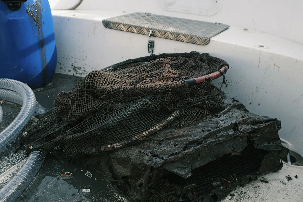 Recovered ghost fishing gear. 