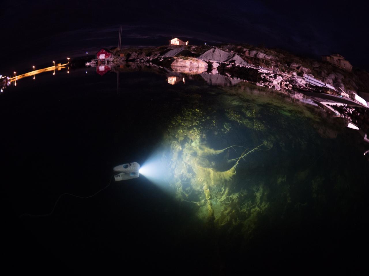 Night dive in the clear waters of Mausundvær