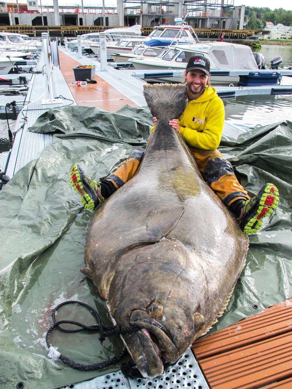 162 kg halibut caught by Bjørn Florø-Larsen