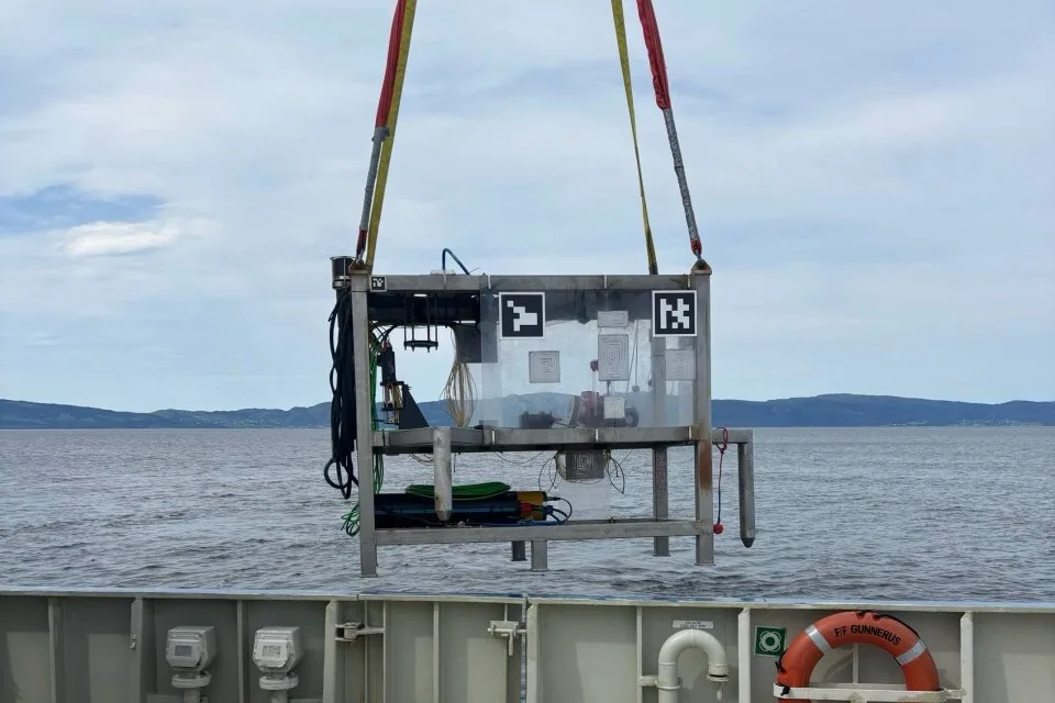 Viewing position track in the office