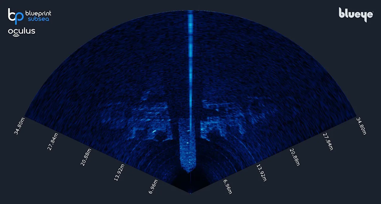 Sonar image captured using Oculus M750d multibeam.