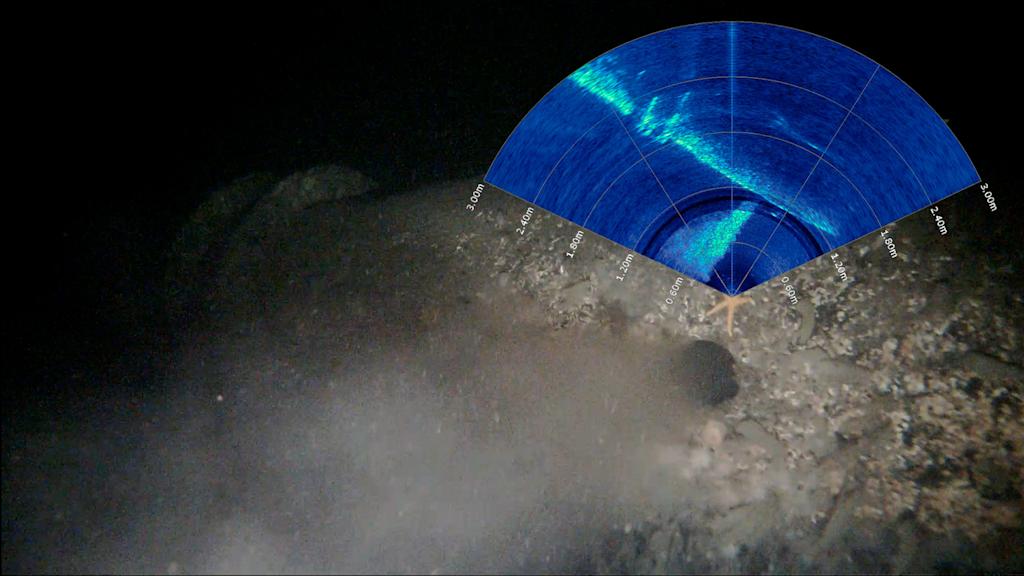 Leak from a gas pipeline captured using the Blueye X3 with sonar. Leakage can be seen in the sonar imagery too. 