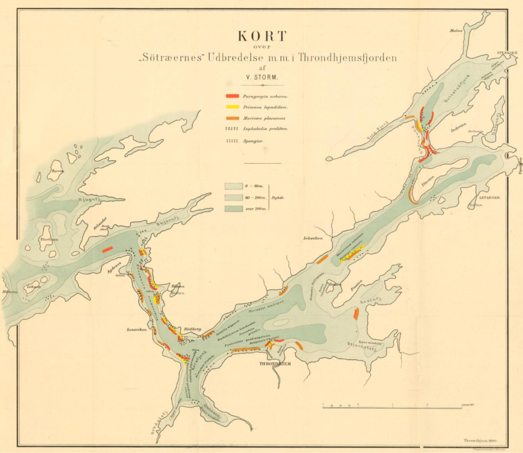     Map showing cold-water corals in the Trondheim Fjord. Published by Storm in 1901.