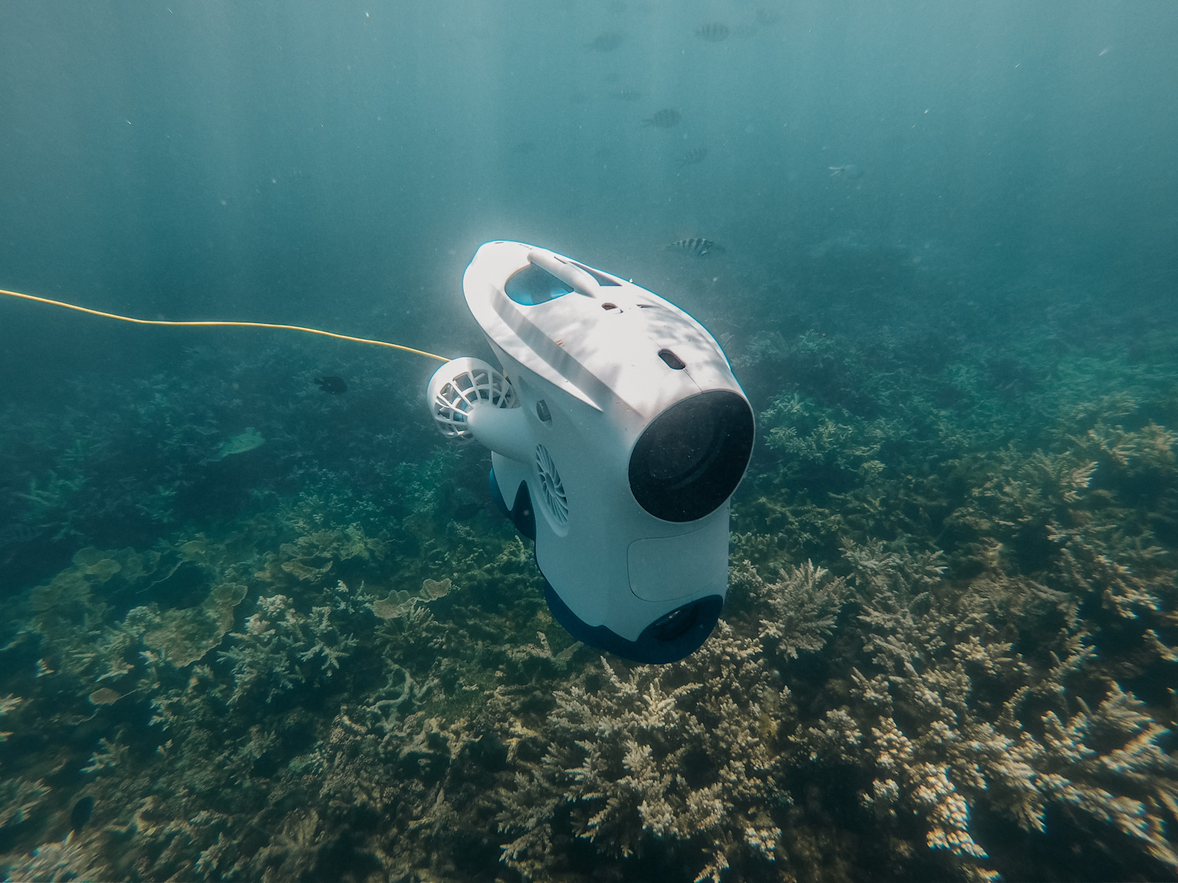 ROV regulations: What you need to know