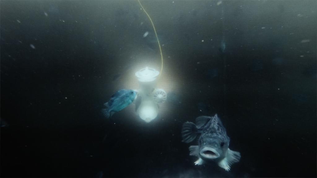 Undervannsdronen inspiserer rensefisk og not