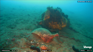 Discovered archaeological item_Photo by University of Rijeka