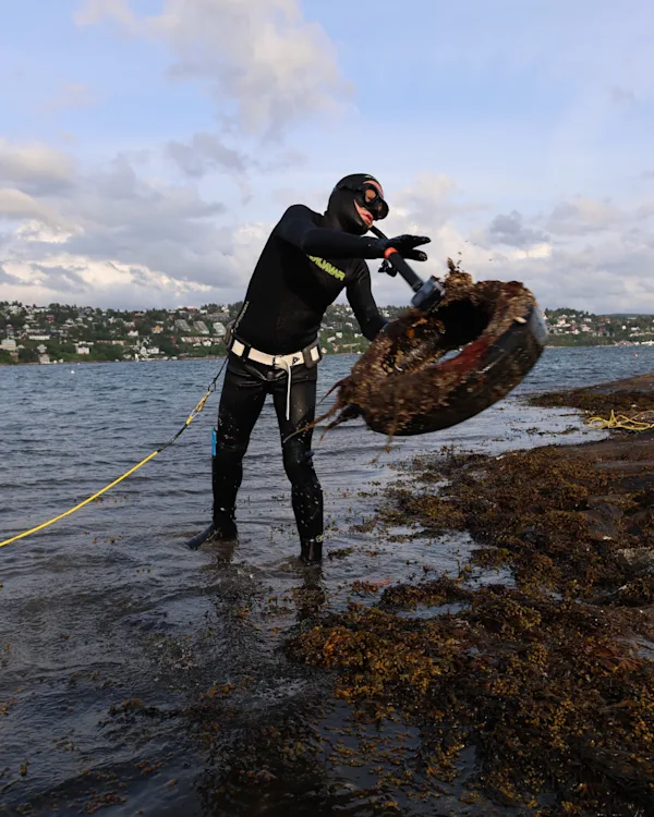 Using ROVs in marine research to restore the Oslofjord